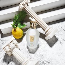 عطر 1861 ناكسوس اودي بارفيوم 100 مل Xerjoff 1861 Naxos EDP 100 ml