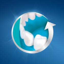معجون اسنان وغسول فم بالفلورايد ورائحة النعناع المنعش Fluoride With Fresh Mint Toothpaste + Mouthwash 100 ml 