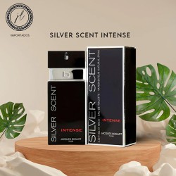 عطر سلفر سينت انتنس للرجال  Silver Scent Intense Eau de Toilette Men's Perfume