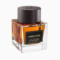 عطر اومبري نوار للرجال Ombre Noire Eau De Parfum Men's Perfume