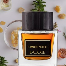 عطر اومبري نوار للرجال Ombre Noire Eau De Parfum Men's Perfume