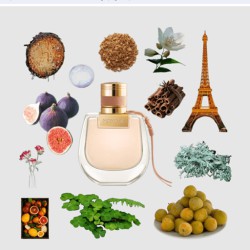 عطر نوماد للنساء Chloe Nomade Eau De Parfum Women's Perfume 