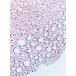 مست مرطب للوجه Refresher Hydrating Face Mist