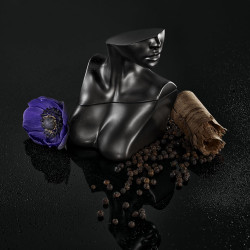 عطر أيليش رقم 2 Eau De Parfum لكلا الجنسين  Eilish No.2  Eau de Parfum Unisex Perfume 
