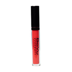 أحمر شفاه سائل مات Ever Matte Lip Color