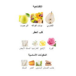 عطر مهيب للنساء 100 مل Mahib Eau De Parfum for Women 100 ml
