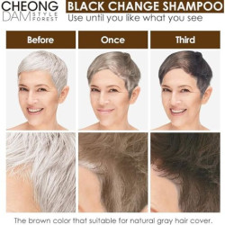 شامبو بصبغة للشعر باللون البني الطبيعي 200 مل Black Change Shampoo-Natural Brown 200 ml