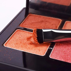 فرشاة الظلال القصيرة E806 Short Shader Brush E806