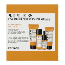 مجموعة بروبوليس B5 لتهدئة وحماية البشرة 4 قطع Propolis B5 Glow Barrier Calming 4 Pcs Kit