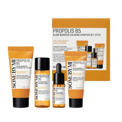 مجموعة بروبوليس B5 لتهدئة وحماية البشرة 4 قطع Propolis B5 Glow Barrier Calming 4 Pcs Kit