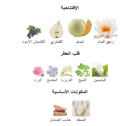 عطر وايت تاج Eau De Perfume للنساء White Touch Eau De Perfume Woman's Perfume