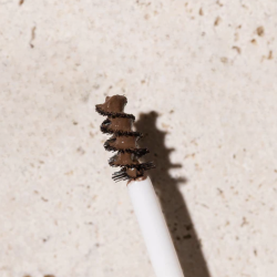 جل ماسكارا حواجب ملونة Colored Brow Gel Mascara