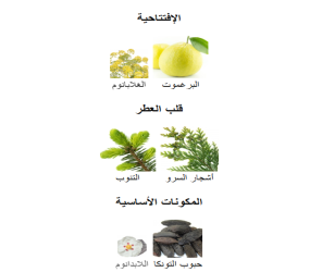 عطر  سبيريت اوف ذا بريف Eau de Parfum للرجال Spirit Of The Brave Eau De Perfume Men Perfume
