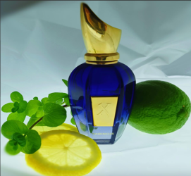 عطر تورينو 21 Eau de Parfum لكلا الجنسين Torino21 Eau De Perfume Unisex Perfume