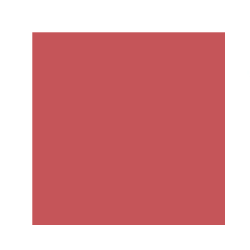بلاشر باودر The Powder Blush