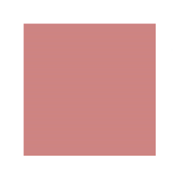 بلاشر باودر The Powder Blush