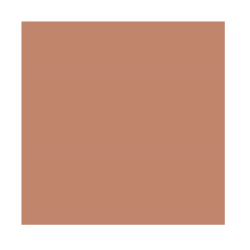 بلاشر باودر The Powder Blush