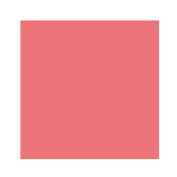 بلاشر باودر The Powder Blush