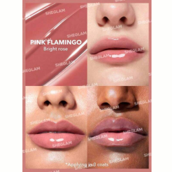 احمر شفاه غلوس Pout-Perfect Shine Lip Plumper