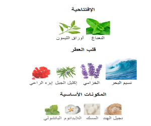 عطر أكوا إسينسيالي Eau de Toilette للرجال Acqua Essenziale Eau de Toilette For Men