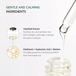 سيروم هارتليف 80٪ لتهدئة البشرة وتعزيز الترطيب Heartleaf 80% Moisture Soothing Ampoule