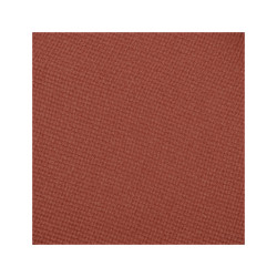 بلاشر Inglot Radiant Skin Face Blush