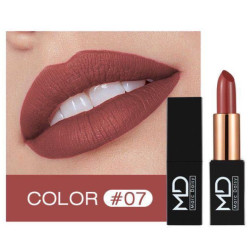 أحمر شفاه مات Long-Lasting Matte Lipstick