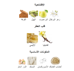 سيت مسك الشمس عطر+ زيت عطري Set Musk Al Shams Perfume + Essential Oil