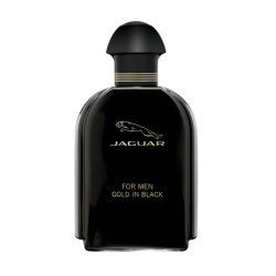 عطر غولد إن بلاك Eau de Toilette للرجال Gold in Black Eau de Toilette for Men