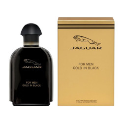 عطر غولد إن بلاك Eau de Toilette للرجال Gold in Black Eau de Toilette for Men