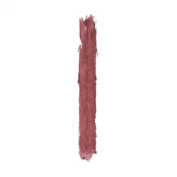 أحمر شفاه بتشطيب مات طويل الأمد Perfect Mat Lipstick - Long-lasting Matte Finish