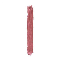 أحمر شفاه بتشطيب مات طويل الأمد Perfect Mat Lipstick - Long-lasting Matte Finish