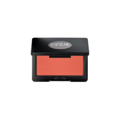 بلاشر باودر مضغوط Artist Face Powder Blush