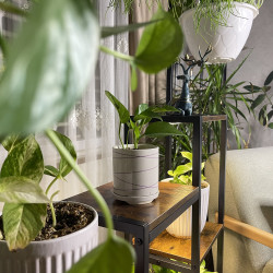 رفوف نباتات خشبية و معدنية Plant Shelves