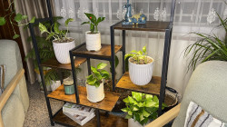 رفوف نباتات خشبية و معدنية Plant Shelves