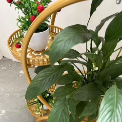 رف نباتات داخلية معدني ذهبي Plant Shelves