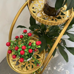 رف نباتات داخلية معدني ذهبي Plant Shelves