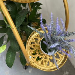 رف نباتات داخلية معدني ذهبي Plant Shelves