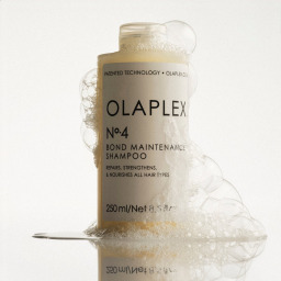 شامبو رقم 4 لتقوية روابط الشعر 250 مل No. 4 Bond Maintenance Shampoo 250 ml