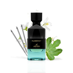 عطر فلامبويانت  Eau De Parfum لكلا الجنسين 100مل Asten Flamboyant Eau De Parfum Unisex Perfume 100ml