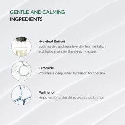 كريم مهدئ مكثف للوجه بخلاصة الهارتليف 70٪ Heartleaf 70% Intense Calming Face Cream