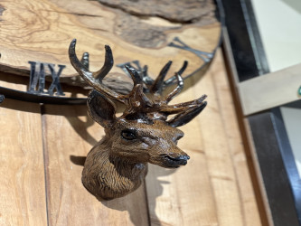 غزال جداري Wall deer
