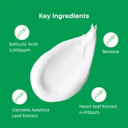 غسول للبشرة المعرضة للحبوب ميني - 25 مل A-Control Heartleaf & BHA Cleanser Mini - 25ml