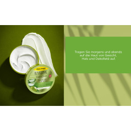 كريم مرطب للوجه والجسم بزيت الزيتون والصبار Eveline Cosmetics Extra Soft Olive & Aloe Vera Cream