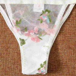 سيت اندر نسائي Seat underwear