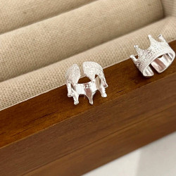 حلق أذن فضي silver earring