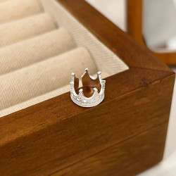 حلق أذن فضي silver earring
