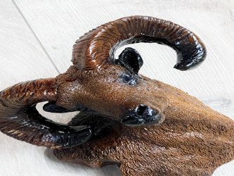 مجسم رأس غزال Deer head model