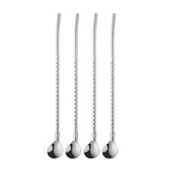 قصبة ستيل متعددة الاستخدام 2 في 1 (قصبة + ملعقة) 2 in 1 Stainless Steel Straw with Spoon