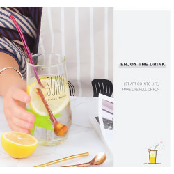 قصبة ستيل متعددة الاستخدام 2 في 1 (قصبة + ملعقة) 2 in 1 Stainless Steel Straw with Spoon